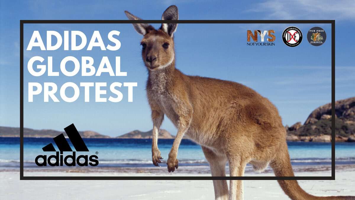 Adidas global protest