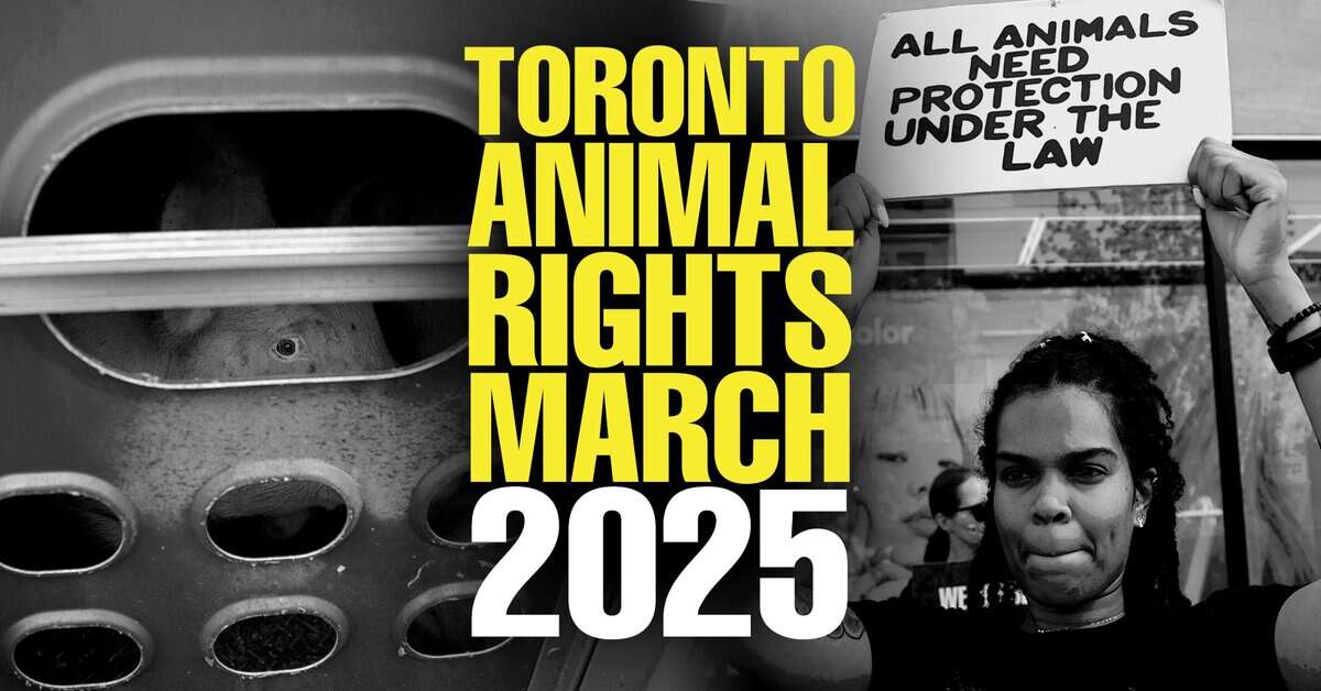 2025 Toronto Animal Rights March