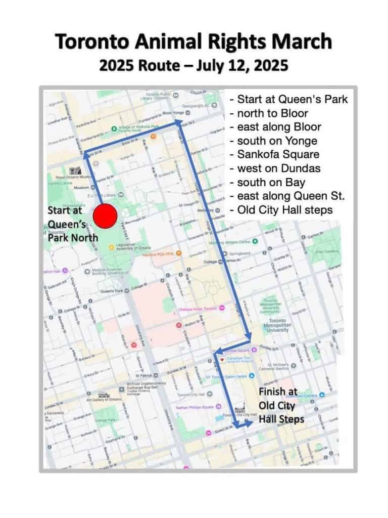 Toronto AR march 2025 route