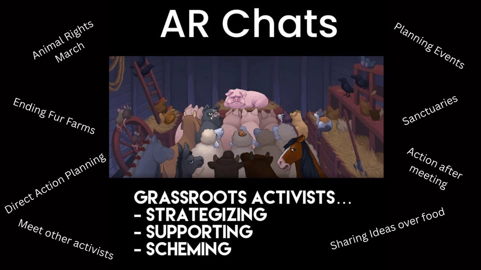 AR Chats