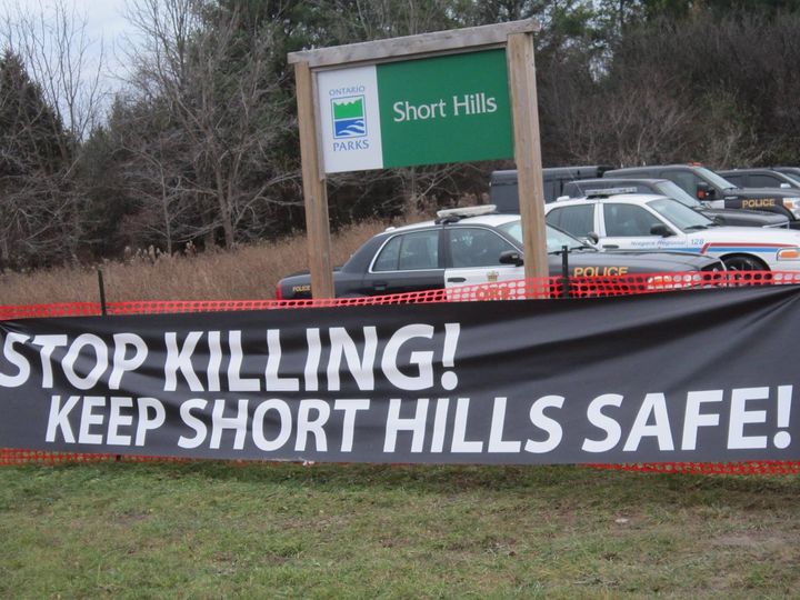 stop hunting Shorthills