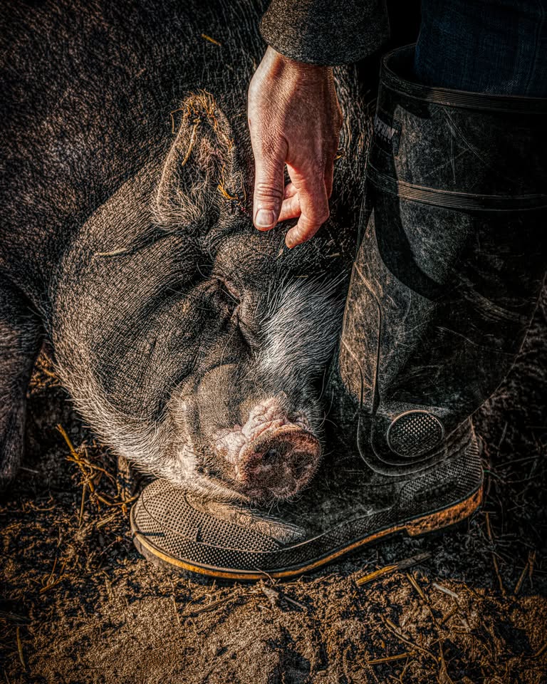 Laura Berman art show