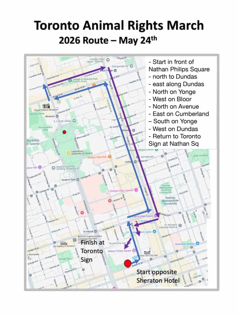Toronto Animal Rights March 2026 Route Map.