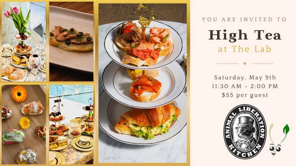 Delicious vegan high tea with assorted plant-based treats and desserts served on tiered plates, highlighting cruelty-free cuisine at Animal Liberation Kitchen.