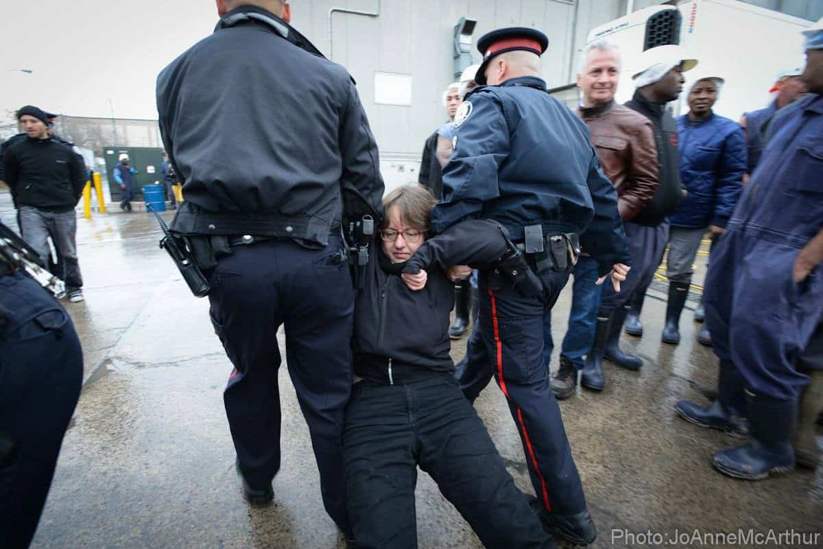 Arrested at cow slaughterhouse blockade
