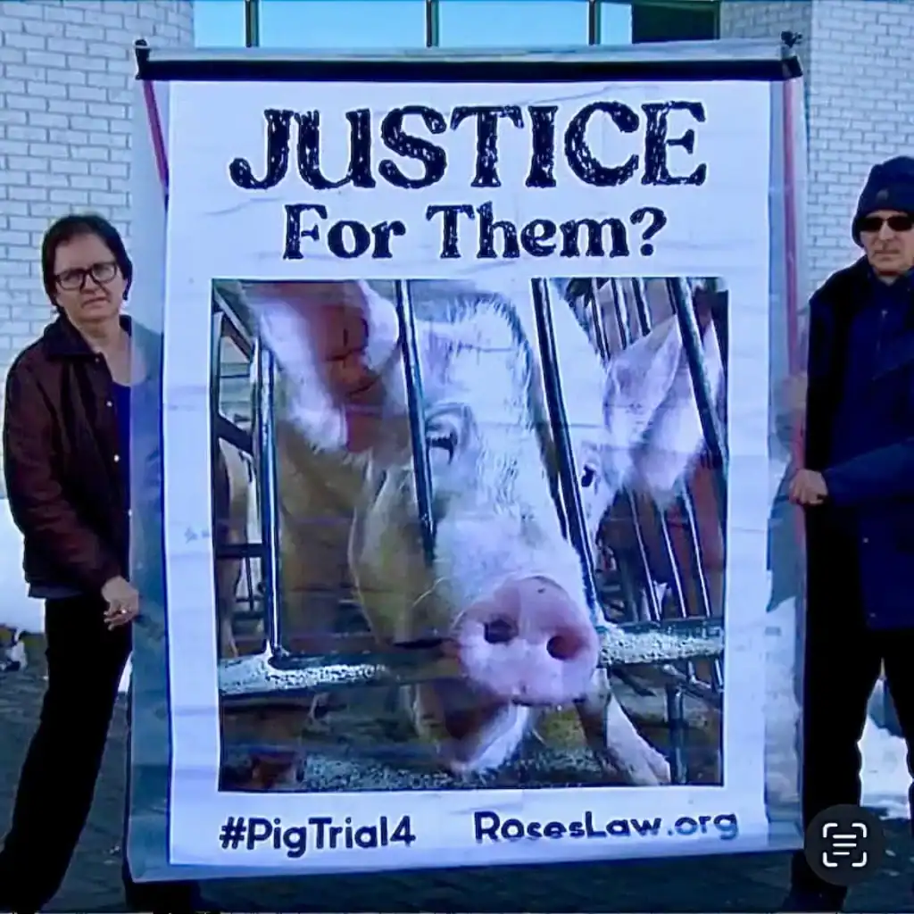 Justice for Them banner outside pig trial in Quebec