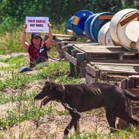 Protest at dog sled operation