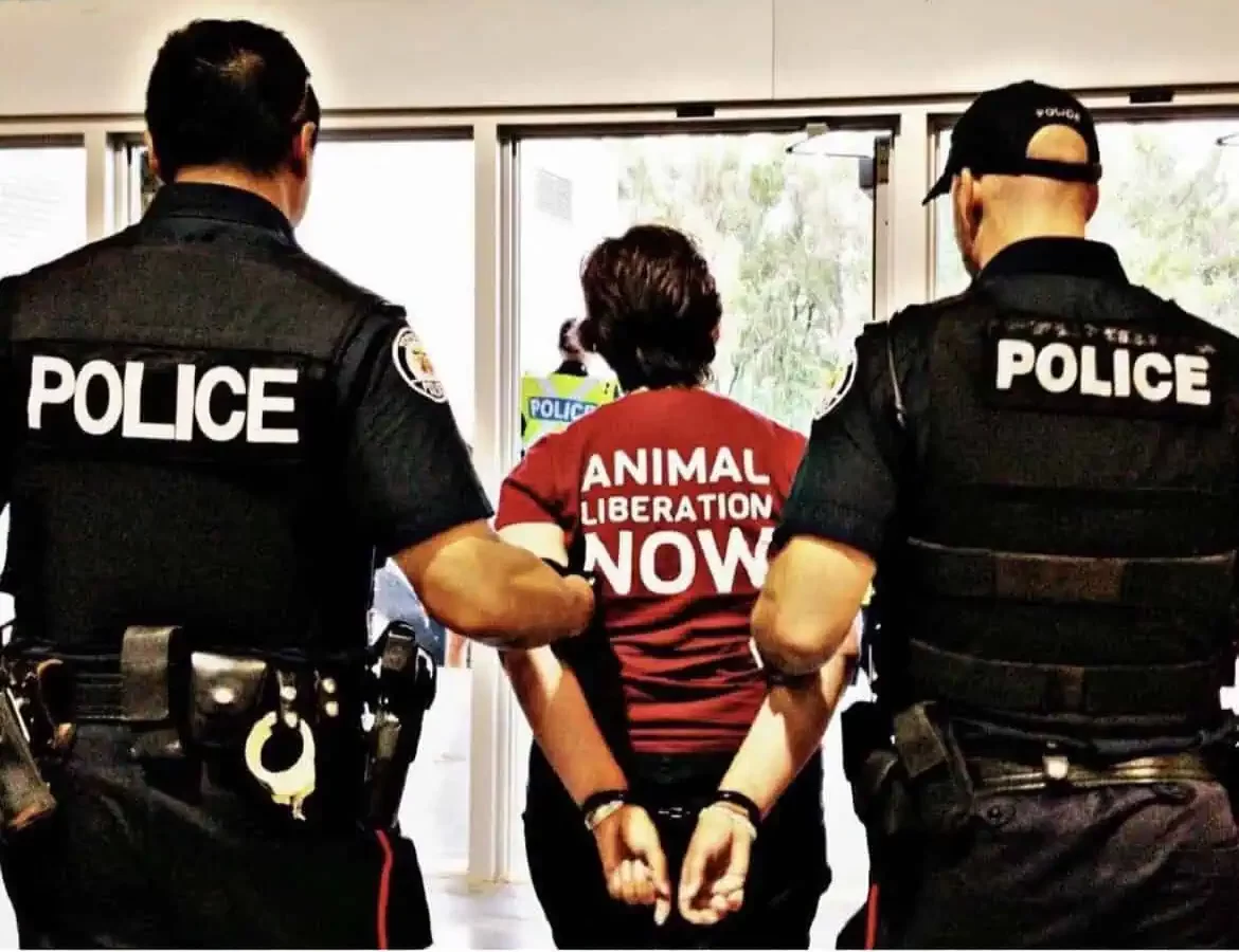 Handcuffed at the Royal Agricultural Winter Fair