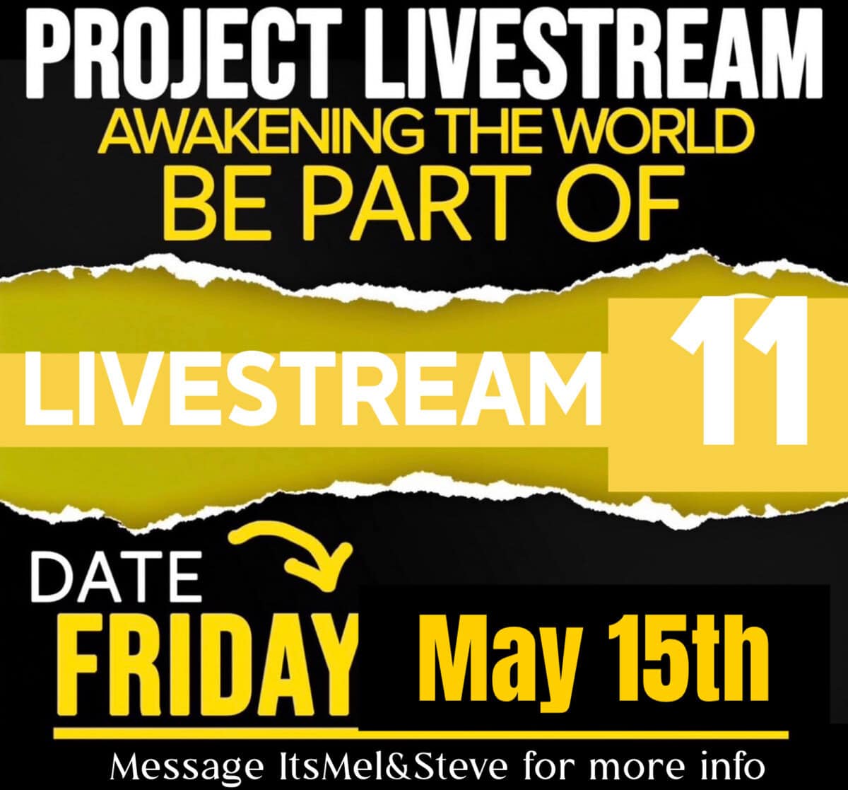 Empowering Animal Rights Activism in Toronto.