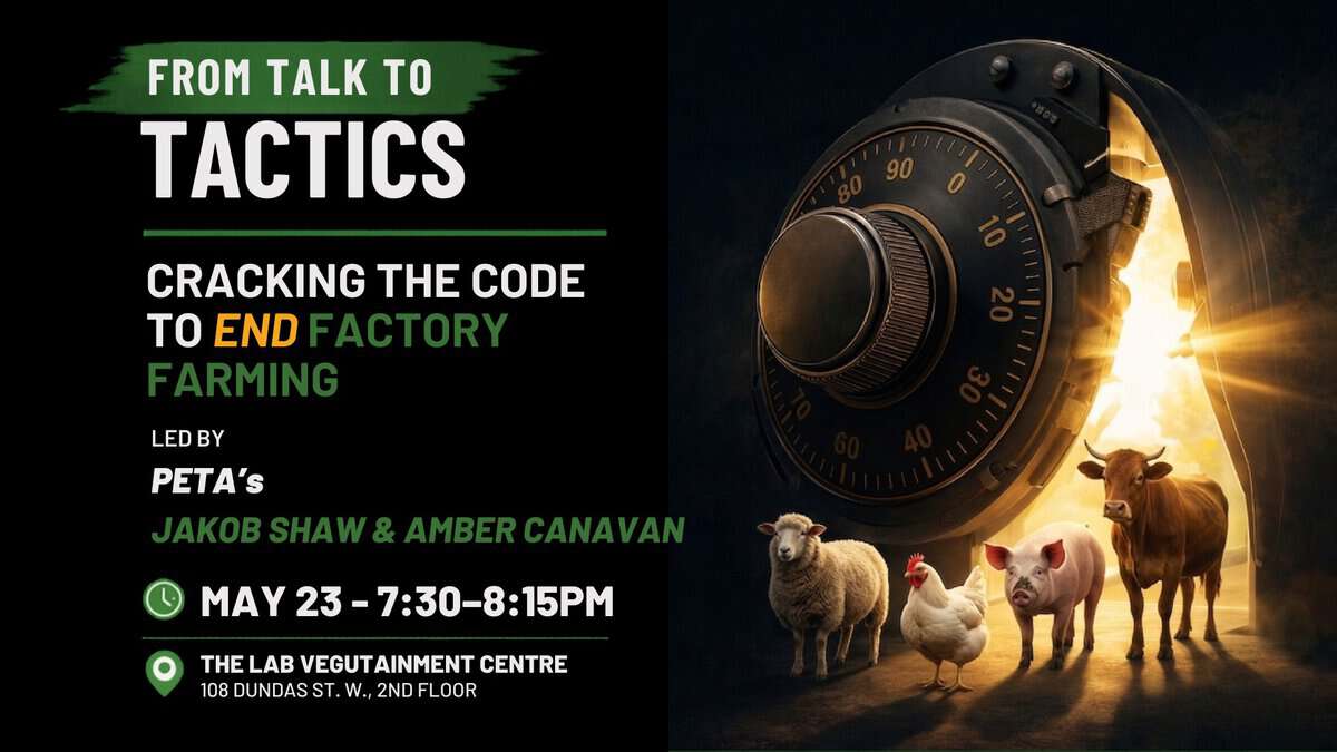 Panel discussion on ending factory farming featuring PETA leaders Jakob Shaw and Amber Canavan, with images of farm animals and a secure safe, highlighting animal rights activism.