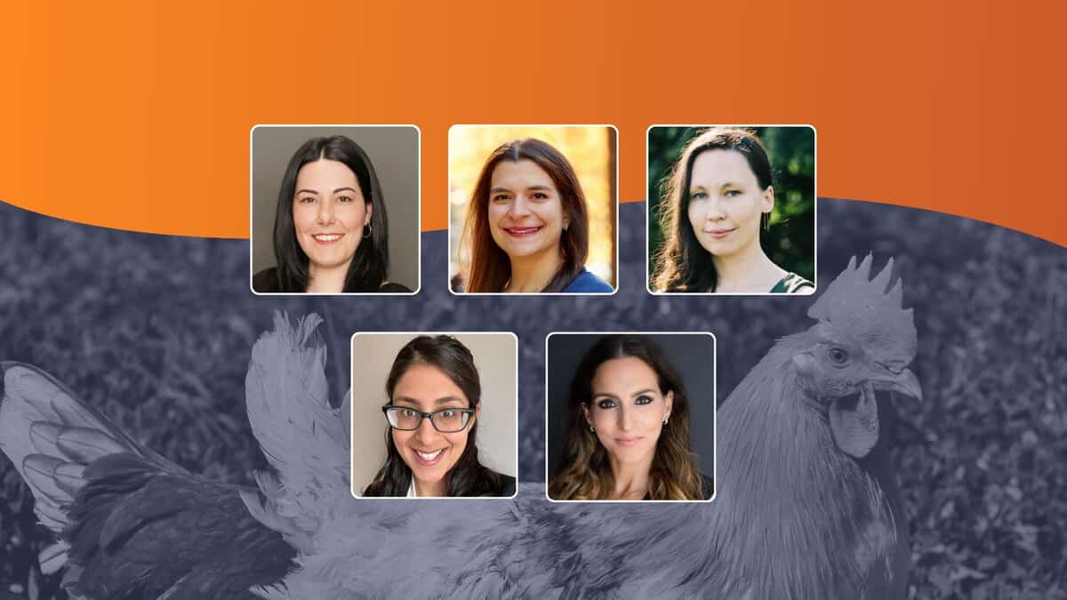 Group of diverse activists supporting animal rights and welfare in Toronto, advocating for compassionate treatment of animals and promoting veganism.
