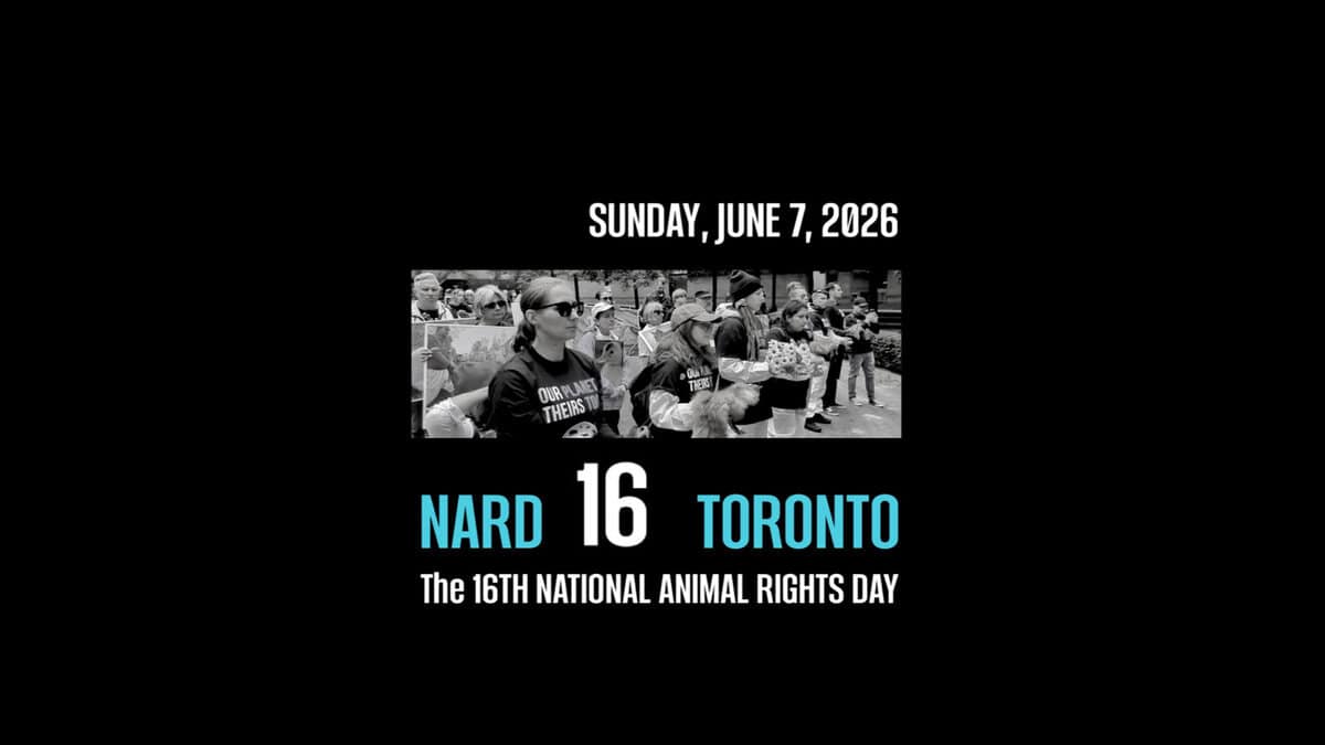Group of activists holding candles during the National Animal Rights Day event in Toronto, advocating for animal rights and veganism.