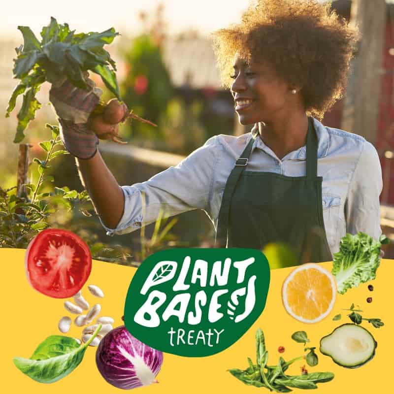 Woman harvesting vegetables in a garden, promoting plant-based diets and animal rights awareness.