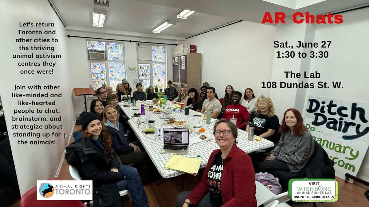 Group of people attending AR Chats event at The Lab Toronto, promoting animal rights activism and community engagement.