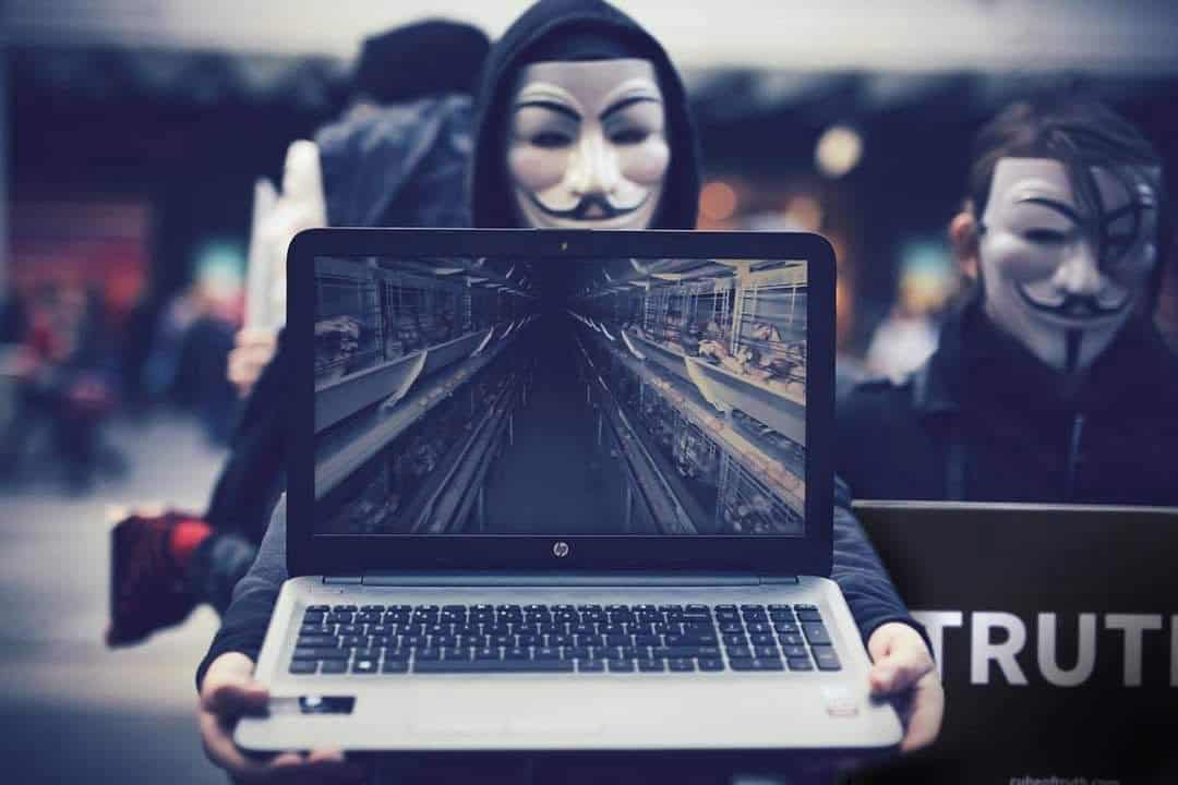 Activists wearing Guy Fawkes masks holding a laptop during an animal rights protest, advocating for veganism and animal welfare in Toronto.