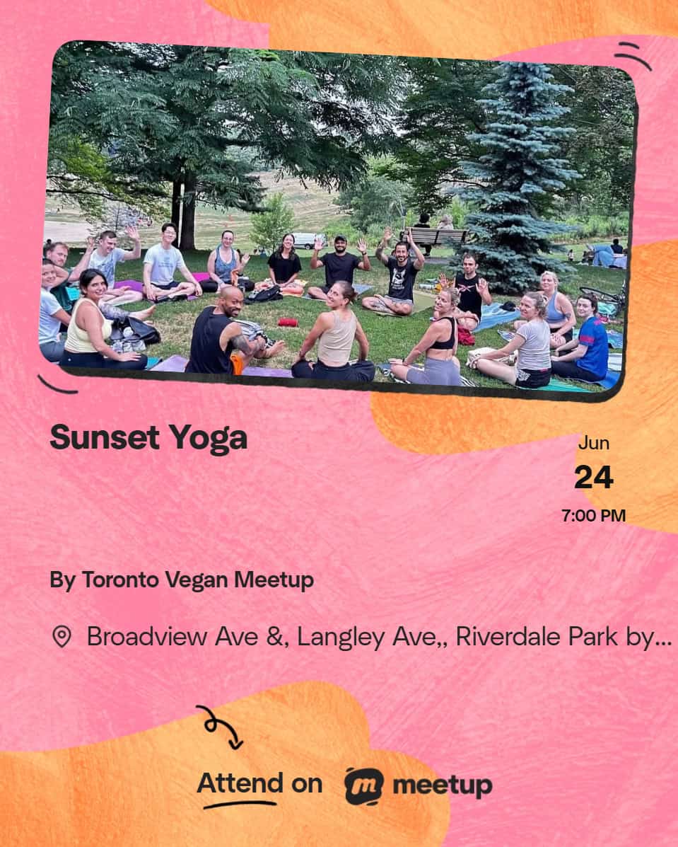 Group of people practicing yoga outdoors at sunset in Riverdale Park, Toronto, during a vegan meetup event.