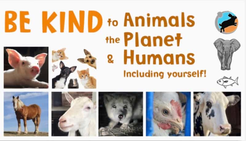 Animal Rights Toronto outreach cards