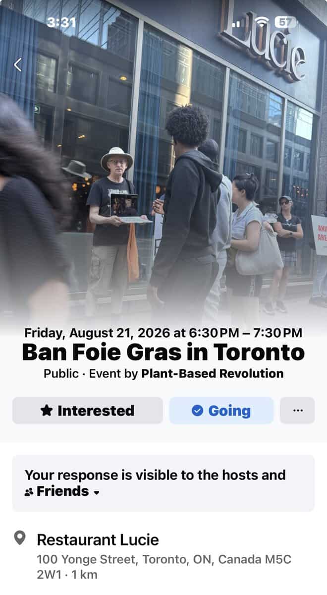 Protesters gather outside Restaurant Lucie in Toronto to oppose foie gras sales, advocating for animal rights and ethical food choices.