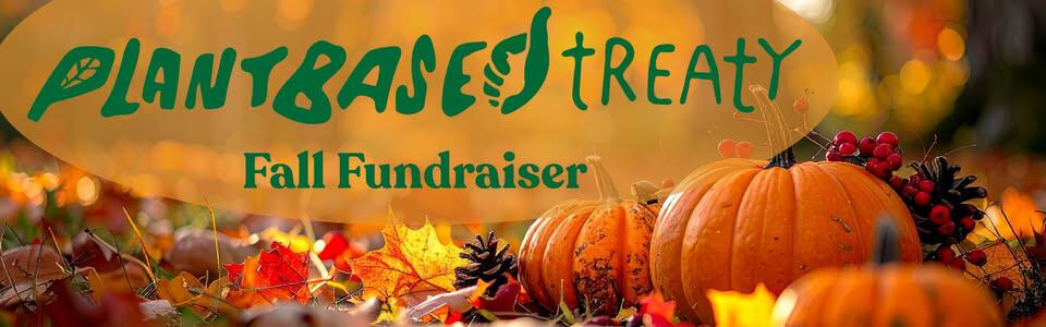 PBT fall fundraiser silent auction