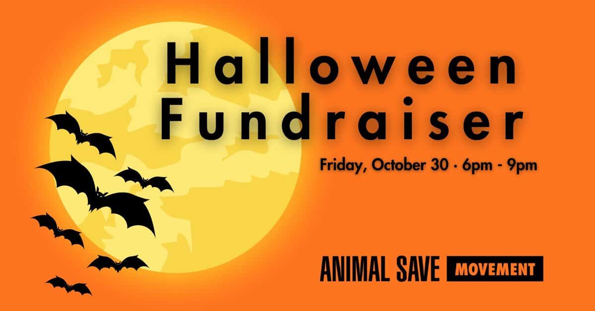 Animal Save Halloween fundraiser