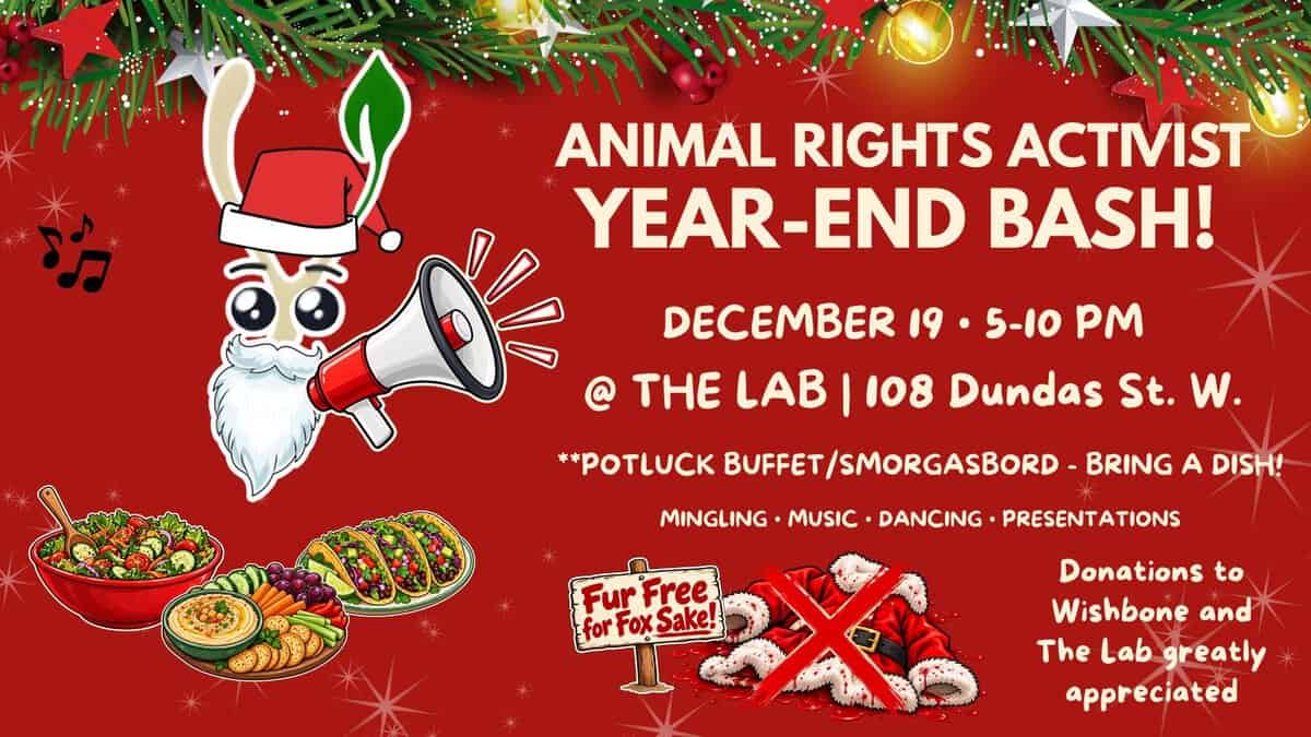 animal activists year end bash