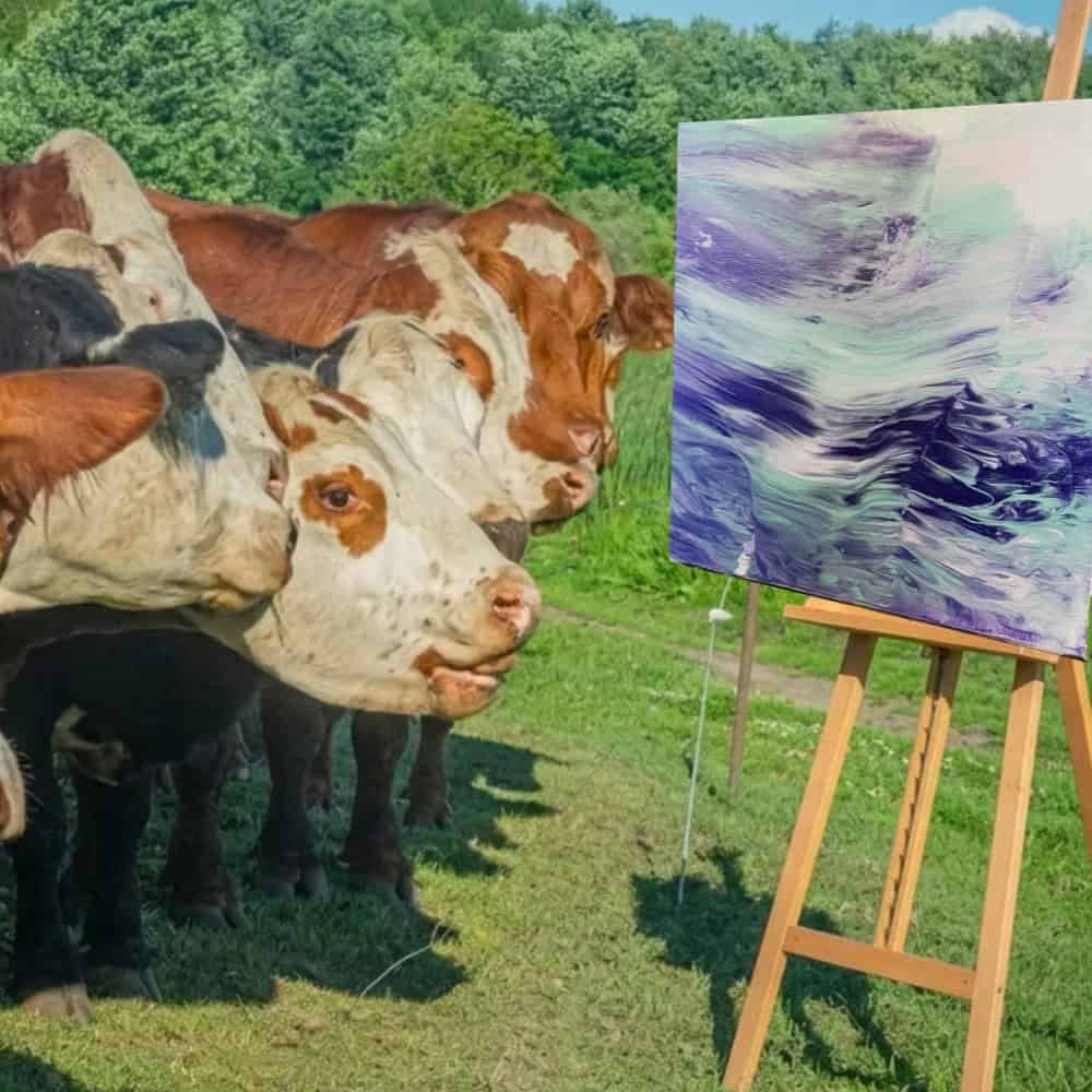 cows on canvas art exhibit