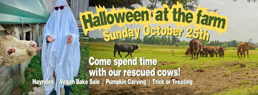 Halloween at the farm
