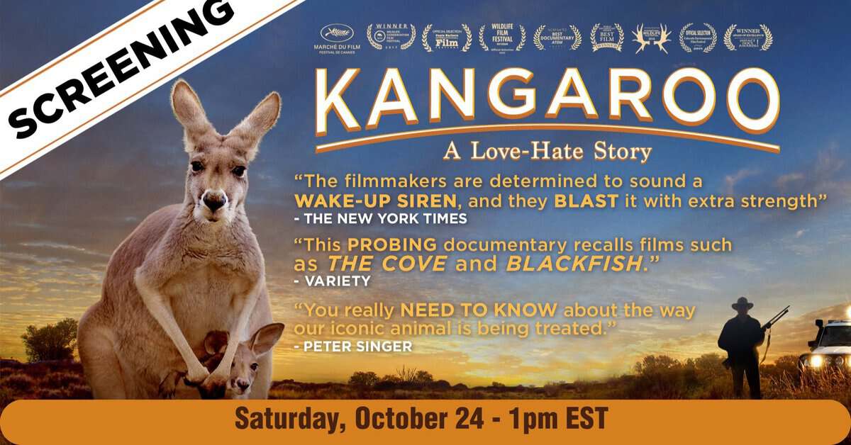 Kangaroo movie film screening