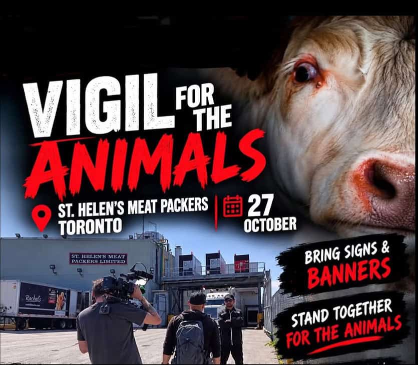 vigil for the animals