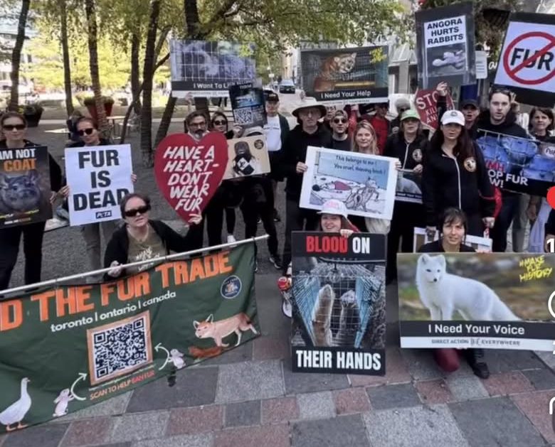 End fur in Toronto