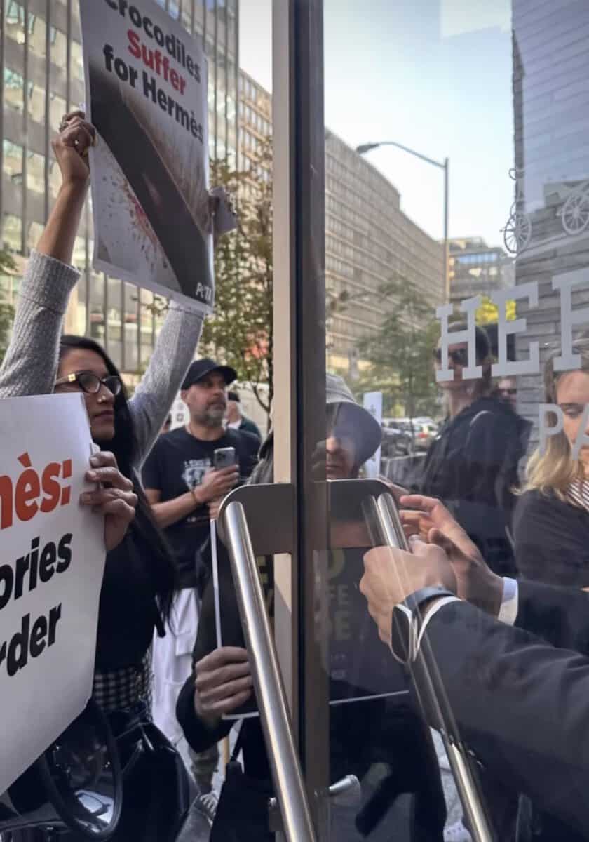 ending fur in Toronto